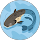 L fishy